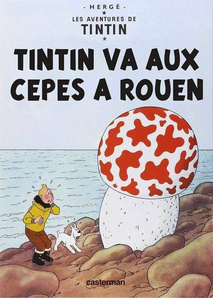 Caricature   tintin va aux cepes a rouen