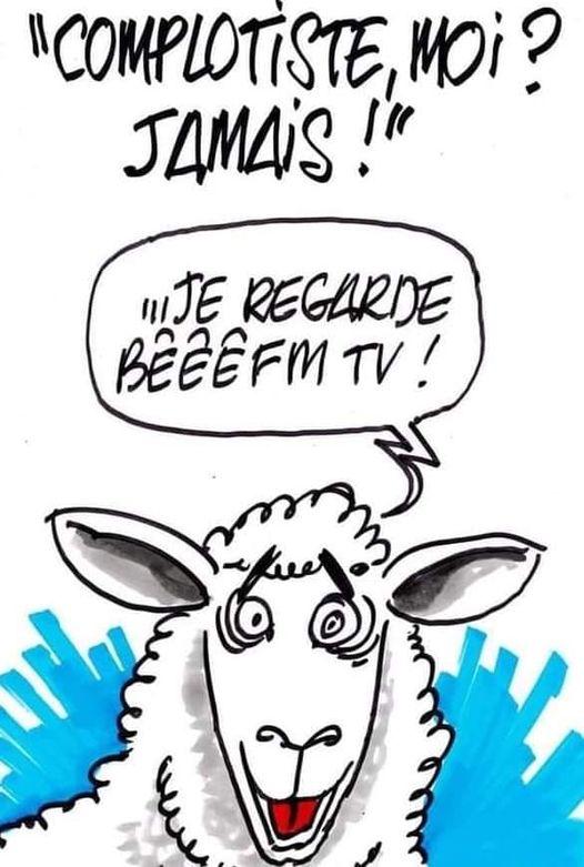 Caricature   télévision   complotiste moi jamais je regarde bfm