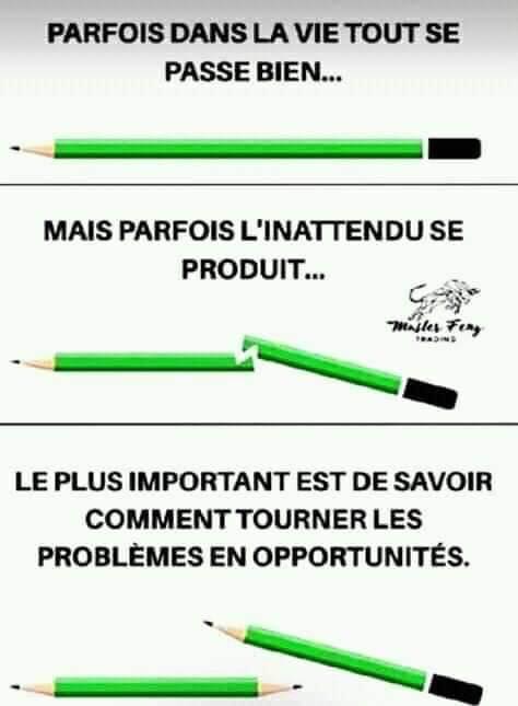 Caricature   vie   prfois dans la vie tout se psse bien mais pafois l'inatendu se produit le plus mportant est des voir coment tourner es problèmes en opportunités