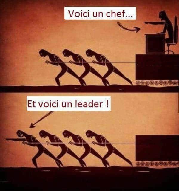 Caricature   voici un chef voici un leader