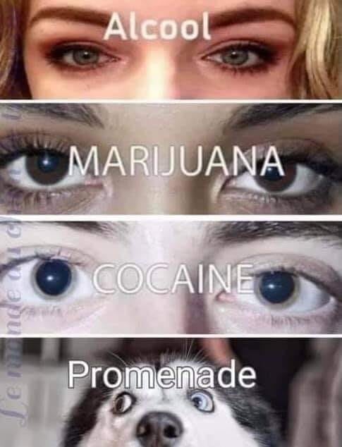 Caricature   yeux   sous alcool   marijuanna cocaine promenade