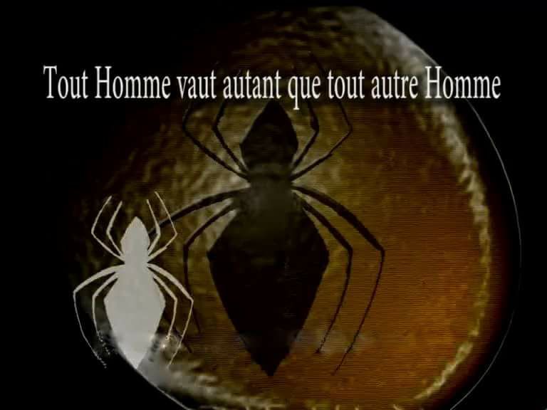 Caricature araigné   et yeux d'araigné   Tout homme vaut autant que tout autre homme