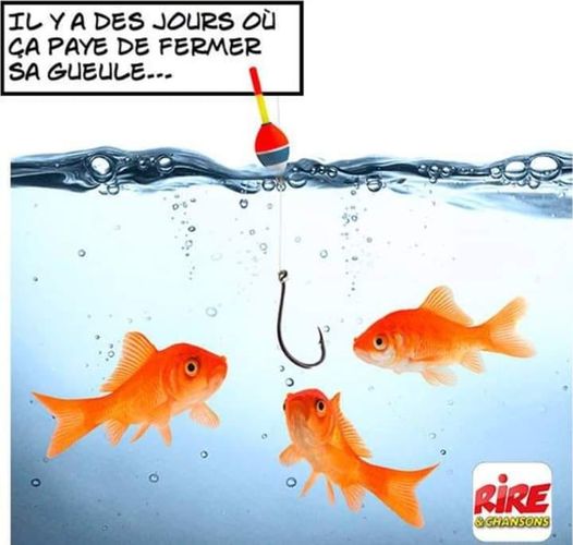 Carricature   pèche   poisson et hameçon   il ya des jours où ça paye de fermer sa gueule