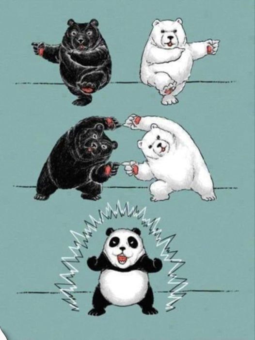 Dessin   caricature   ours noir et ours blanc qui fusionne pour donner un panda