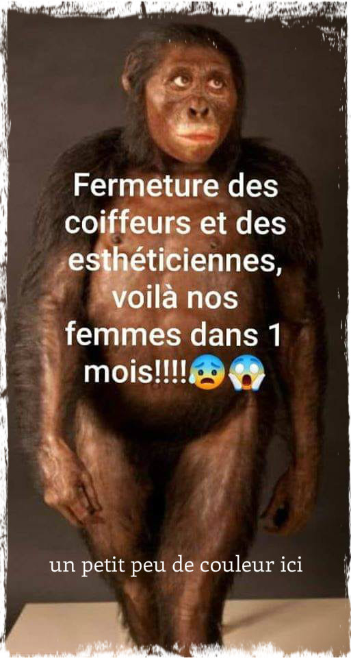 Femme   caricature   fermeture des coiffeurs et des estheticienne voila nos femmes dans 1 mois