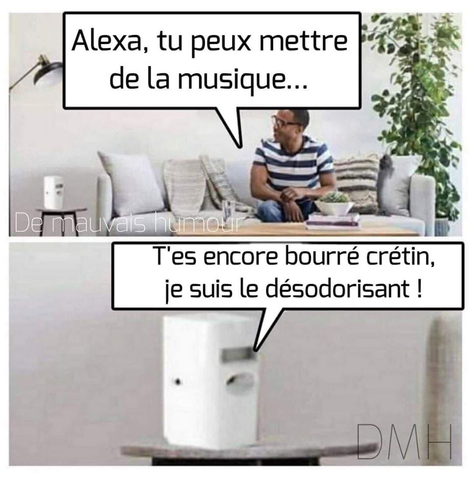 Insolite   caricature   alea tu peux mettre la musique t'es encore bourré crétin je suis ton désodorisant