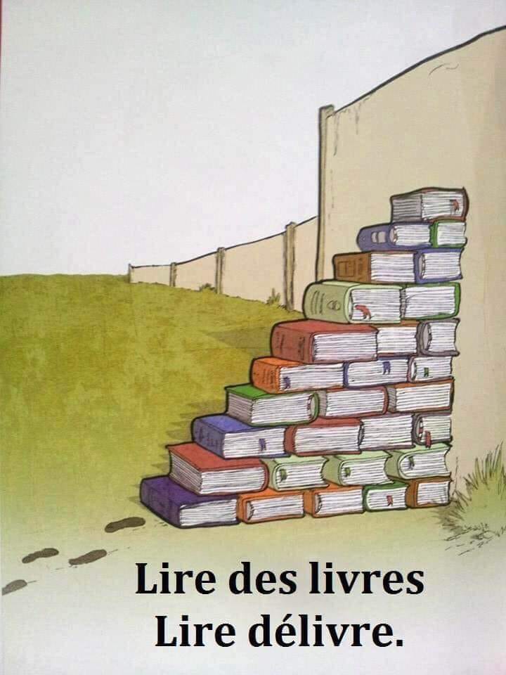 Liberté   éducation   caricature   lire des livres délivre