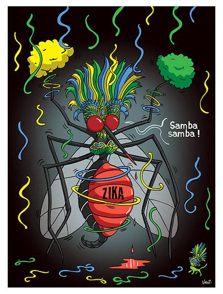 Moustique zika   au brésil