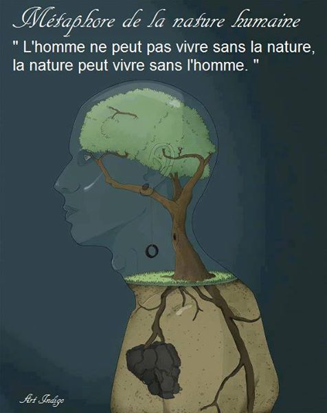 Métaphore de la nature humaine   l'homme ne peut pas vivre sans la nature la nature peut vivre sans l'homme