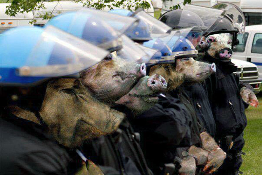 Police   caricature   avec des tetes de cochon