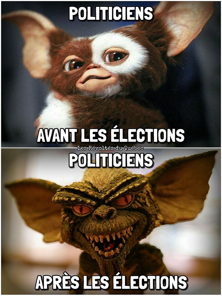 Politique   caricature   avant les elections apres les elections