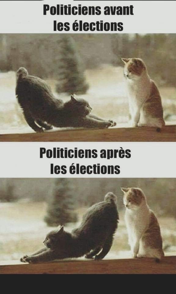 Politique   cricature   oliticin avant les election et après les elections