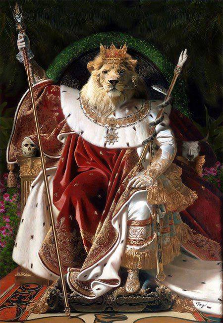 Empereur   Roi Lion le Lion Marche seul les mouton en troupeau