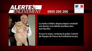 chatte a dédé a disparu