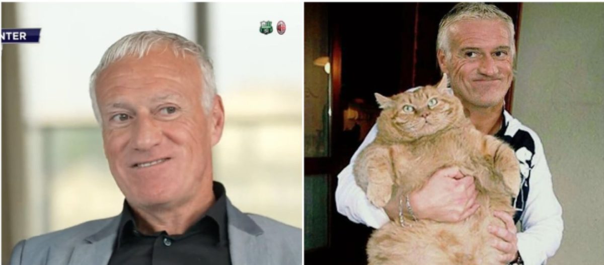 didier deschamps amusee quand on lui parle de sa chatte credit twitter 2755354