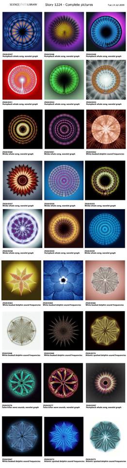 Univers   Vie   Atome   Frequences