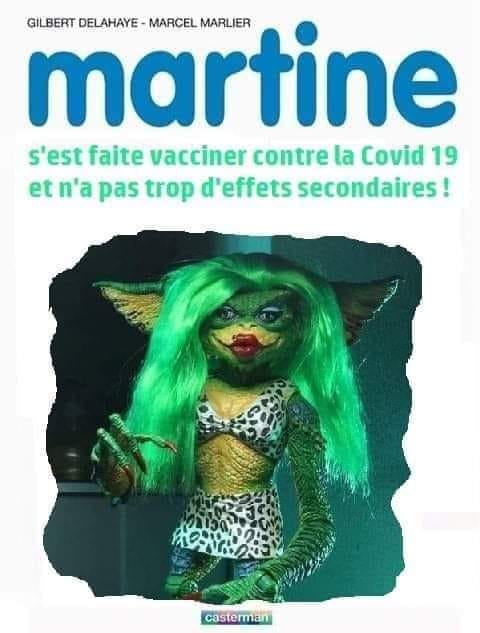 Blague   vaccin   Martine s'estf ait vacciner et n'a pas trop d'effet secondaire