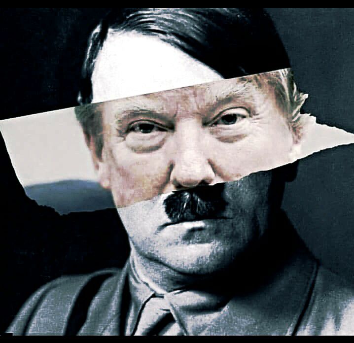 Hitler   trump
